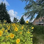 Noor-og-mit-studio-nr-4 度假居 *