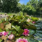 度假居 Noor-og-mit-studio-nr-4 *