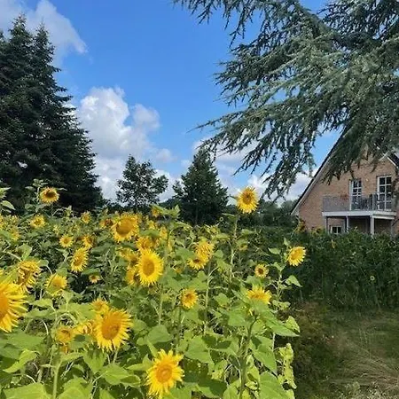 Noor-og-mit-studio-nr-4 Holiday home *