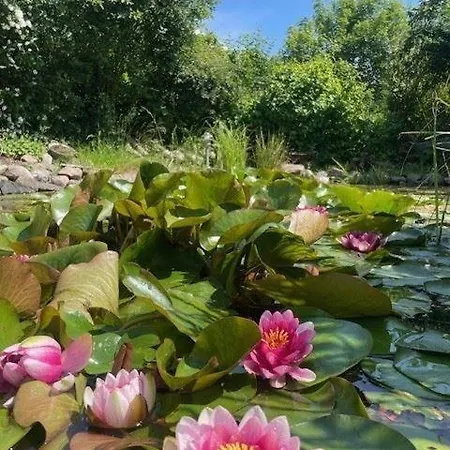Holiday home Noor-og-mit-studio-nr-4 Haby
