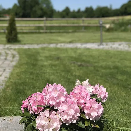 Noor-og-mit-studio-nr-4 Holiday home *