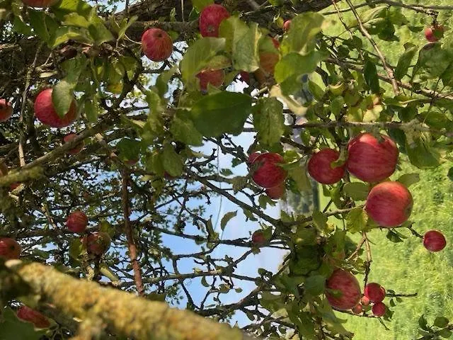 Noor-og-mit-studio-nr-4 別荘