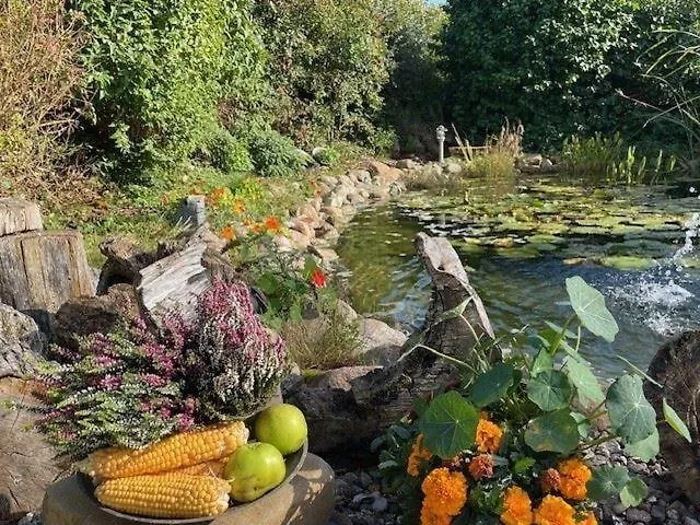 Noor-og-mit-studio-nr-4 別荘 *