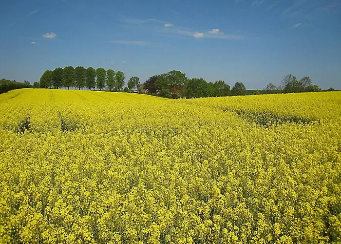 別荘 Noor-og-mit-studio-nr-4 Haby